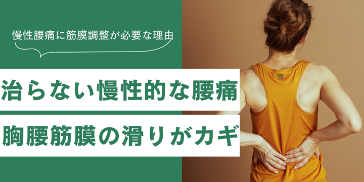 治らない慢性的な腰痛　胸腰筋膜の滑りがカギ