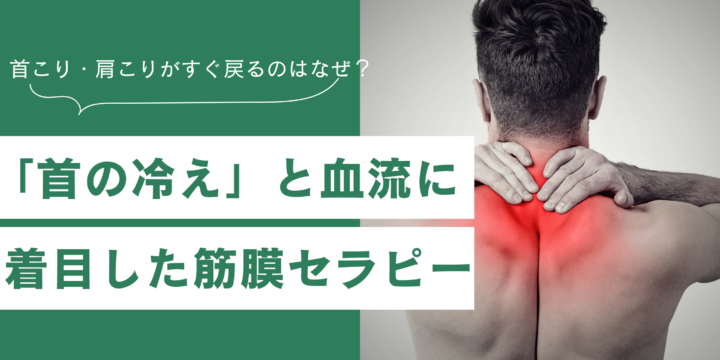 首の冷えと血流・筋膜の滑りに着目した筋膜セラピー