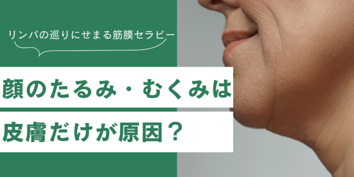 顔のたるみ・むくみは皮膚だけが原因じゃない？ 「浅筋膜」とエラスチン・リンパの巡りにせまる筋膜セラピー
