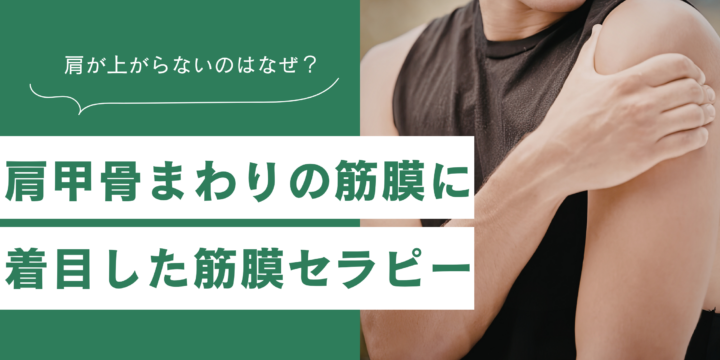 肩周りの筋膜セラピー