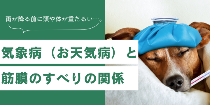 気象病と筋膜