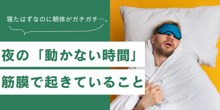 動かない時間の筋膜