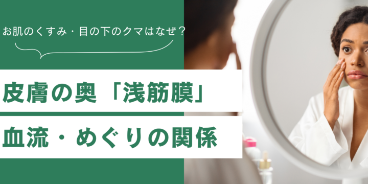 肌と浅筋膜