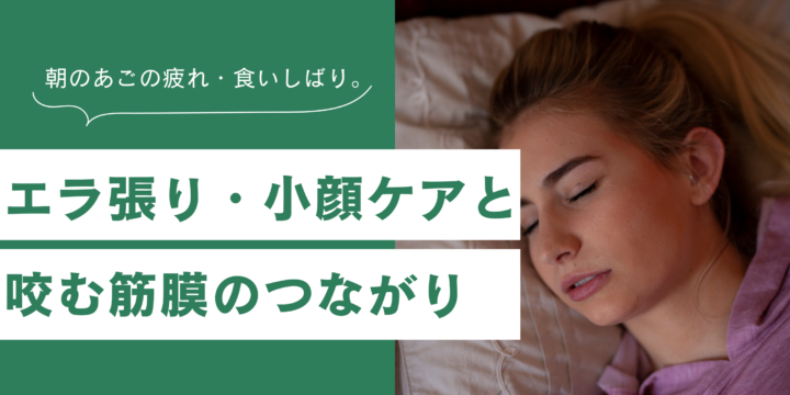 食いしばりと筋膜
