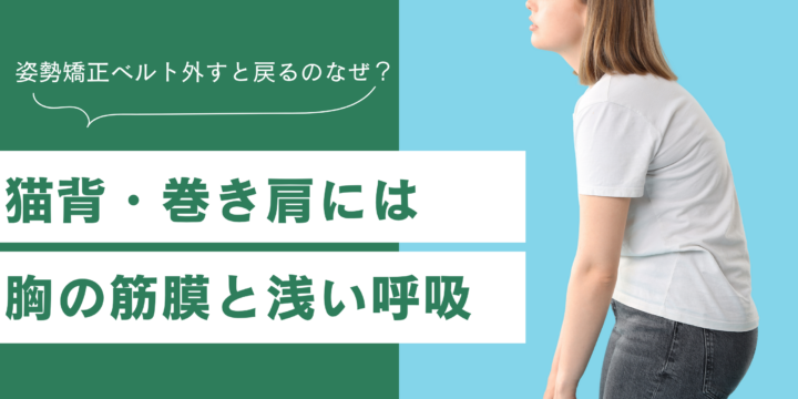 猫背・巻き肩と筋膜