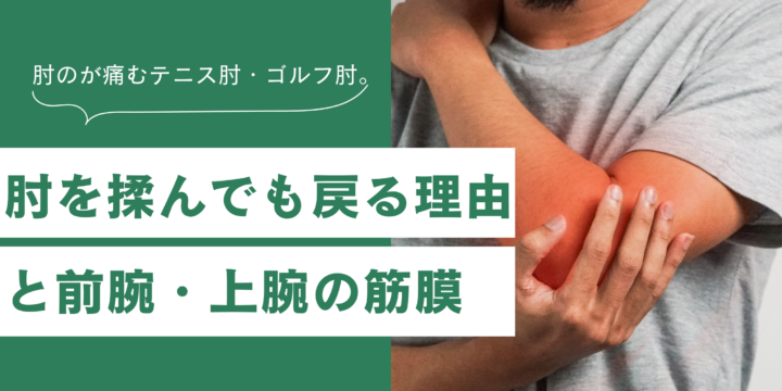 肘と筋膜