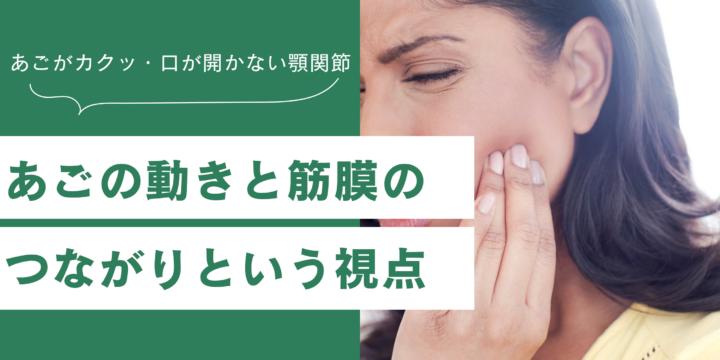 顎関節と筋膜