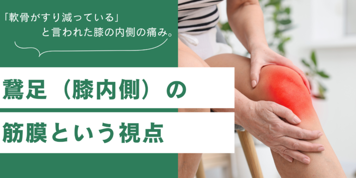 膝痛と筋膜