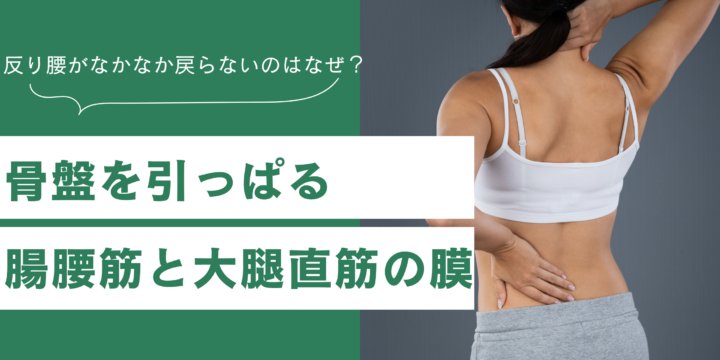 反り腰と筋膜