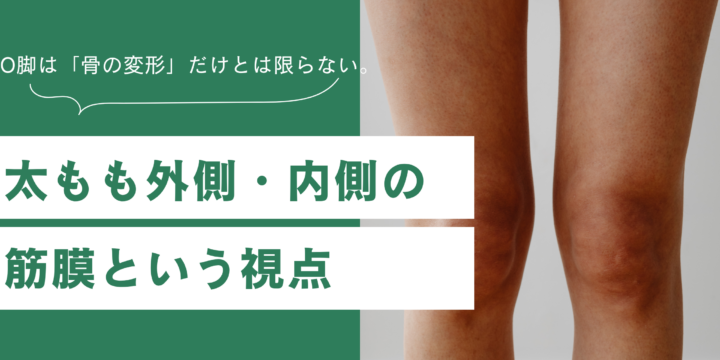 O脚と筋膜
