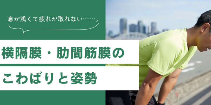 横隔膜と姿勢