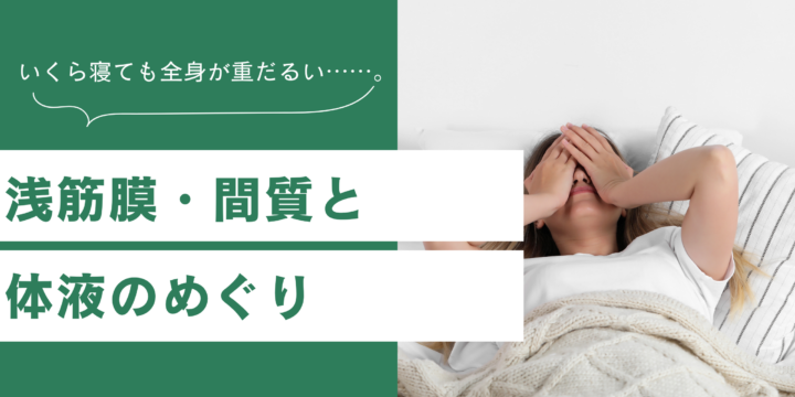浅筋膜と体液