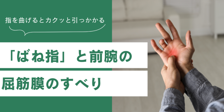ばね指と筋膜