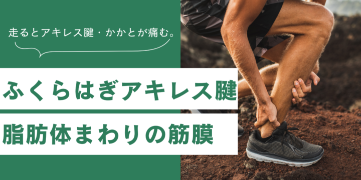下腿筋膜
