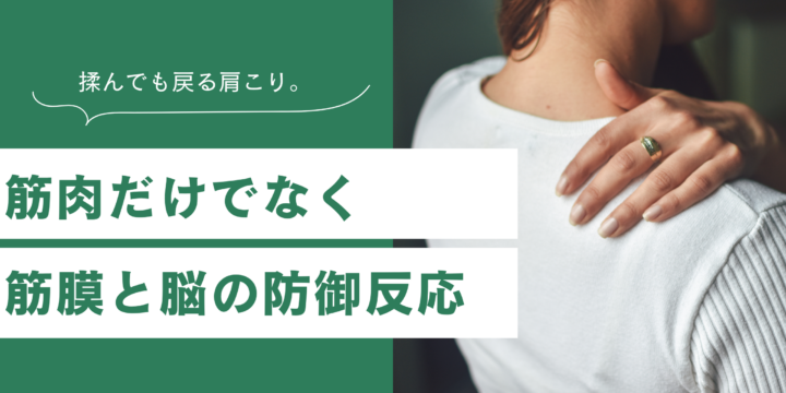 肩こりと筋膜
